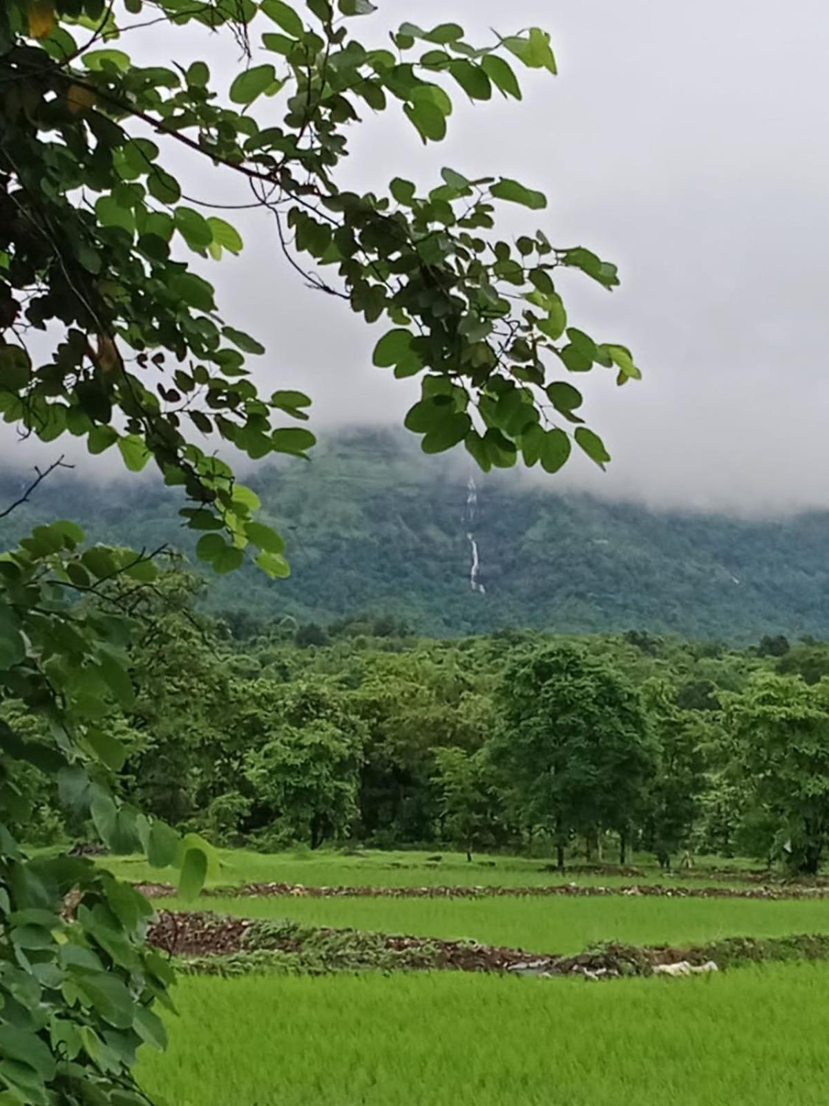 Karjat Villa Экстерьер фото